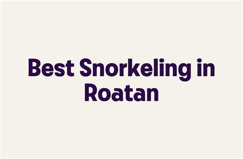 Best Snorkeling in Roatan