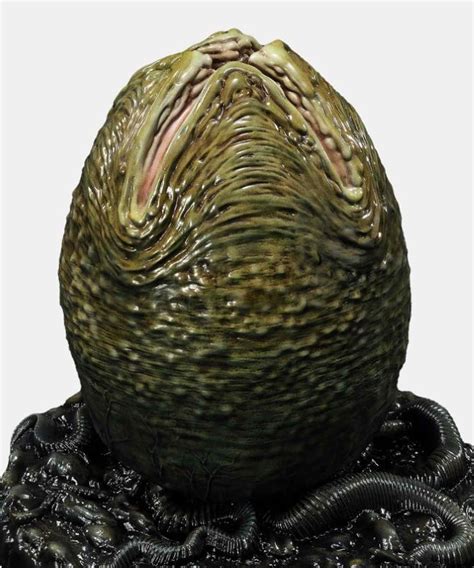 Xenomorph Egg