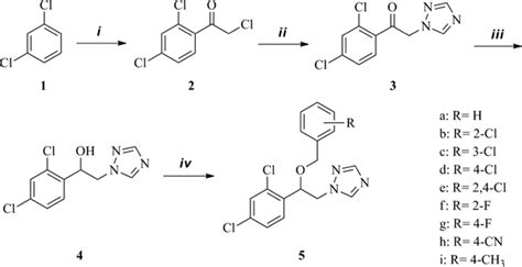 Synthesis of benzene-ethanol 1,2,4-triazole derivatives. (i)... | Download Scientific Diagram