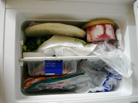 Freezer | Not enough space, apparently | Toms Baugis | Flickr