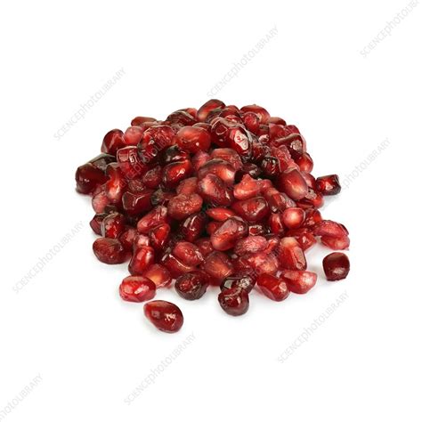 Pomegranate seeds - Stock Image - F004/9941 - Science Photo Library