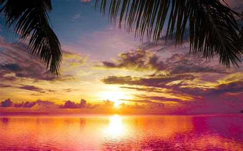 Aruba Sunset Wallpapers - 4k, HD Aruba Sunset Backgrounds on WallpaperBat