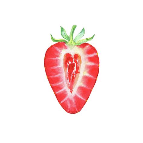 Strawberry cut in half image 708393-Strawberry cut in half image