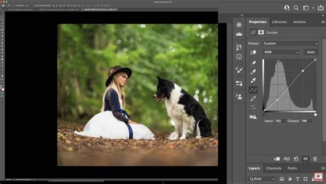 Curves in Photoshop: The 10 Basic Adjustments » That Tog Spot