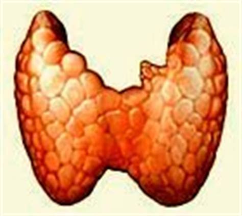 Thyroid Problems, Disease : Causes, Symptoms, Diagnosis