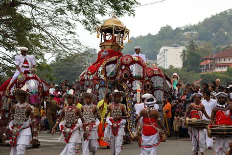 The Kandy Esala Perahera Sinhala Essays - vrogue.co