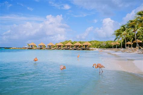 The 10 Best All-Inclusive Resorts In Aruba 2024