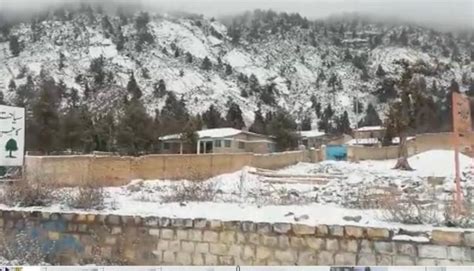 Ziarat receives first snowfall of winter •Quetta Voice Breaking News ...