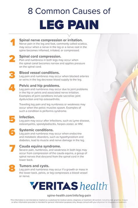 8 Causes of Leg Pain Infographic | Spine-health