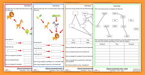 Food Web Worksheet