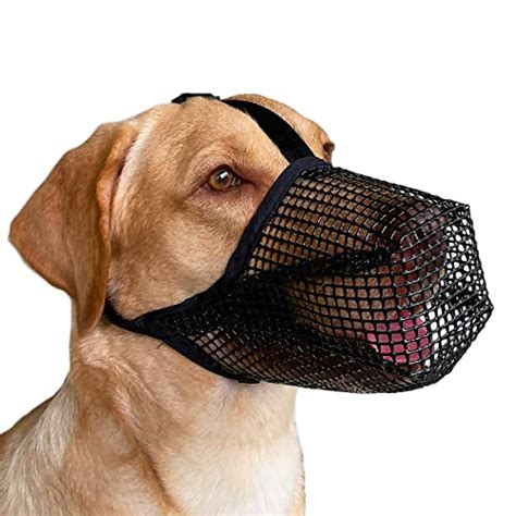 Top 10 Best Muzzle For Small Dogs : Reviews & Buying Guide - Katynel