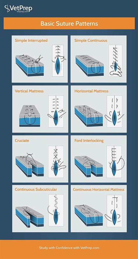 Infographic: Basic Suture Patterns | Vet medicine, Vet tech school, Vet technician