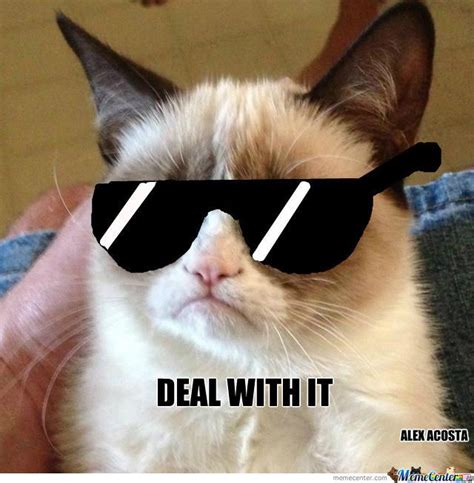 Grumpy cat meme + Deal with it meme= IM GRUMPY SO DEAL. WITH. IT.