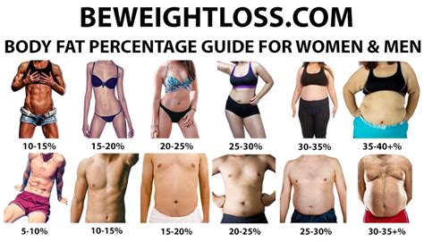 Body Fat Percentage Chart For Women And Men Examples