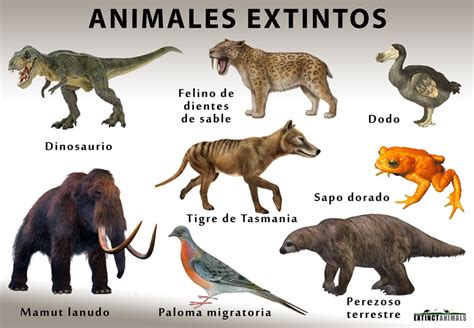 Animales extintos | Extinct Animals