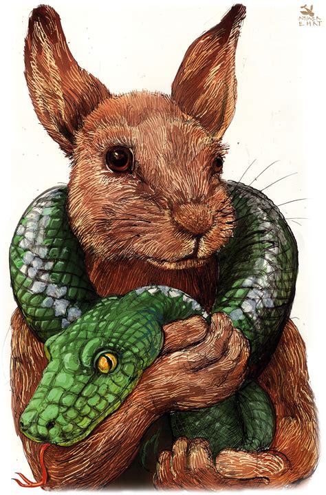 rabbit & snake Satirical Illustrations, Lizard, Snake, Rabbit, Teddy ...