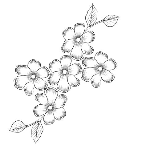 Free Vector line art and hand drawing flower art black and white flat design simple flower ...