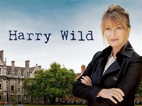 Prime Video: Harry Wild - Season 1