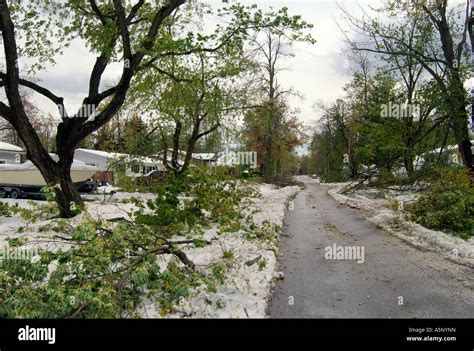 Damage of the snow storm Stock Photo - Alamy