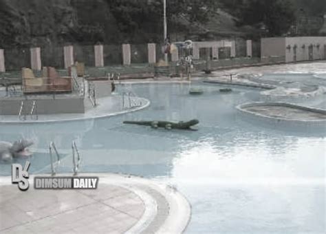 Jordan Valley Swimming Pool temporarily closed after a small amount of faeces found - Dimsum Daily