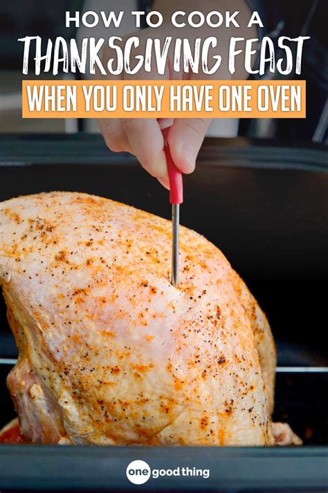 How To Cook Perfect Turkey In An Electric Roaster Oven