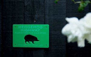 Hedgehog-highway-sign - People's Trust for Endangered Species