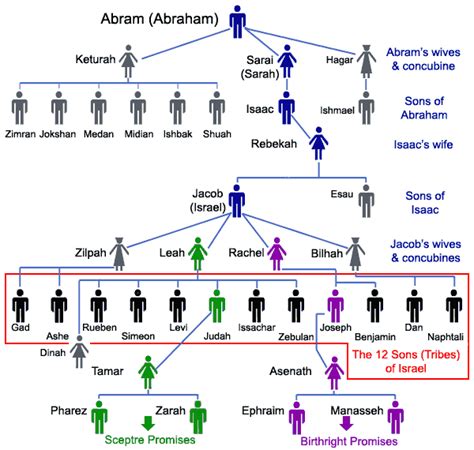 Abrahams family tree, 12 sons of Israel.