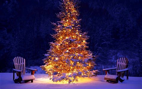yellow light christmas tree - www.hammurabi-gesetze.de