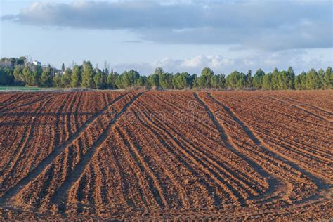 Farmland with Tractor Tracks Stock Photo - Image of farming, tracks ...