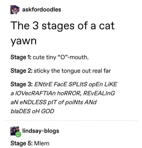 stages of a cat yawn - Meme by Bentastic64 :) Memedroid