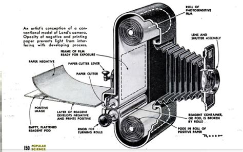 #TBT to 1947: Introducing the Polaroid Camera, a darkroom in a box, and DIY shadow backgrounds ...