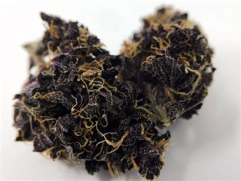 Blackberry Kush Cannabis Strain Information & Review – ISMOKE