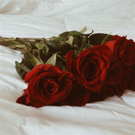 INFO: Why are red roses the symbol of love ? – ARTISANE