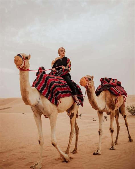 Enjoy RIP Roaring Activities by Booking Desert Safari Abu Dhabi Deals