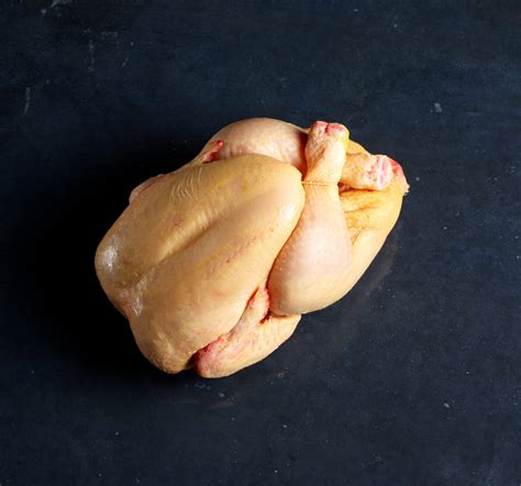 Corn-Fed Chicken Whole - IMS of Smithfield - Buy Online Now