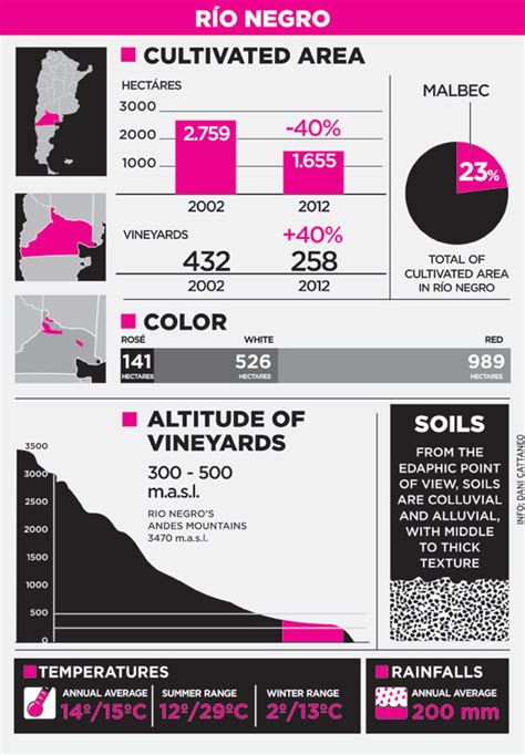 Patagonia Wine Region, Argentina - Social Vignerons