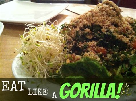 Gorilla Food- Eat Like a Gorilla! – EATING with Kirby