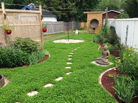 Urban Clover Lawn – Urban Seedling | Lawn alternatives, Front yard ...