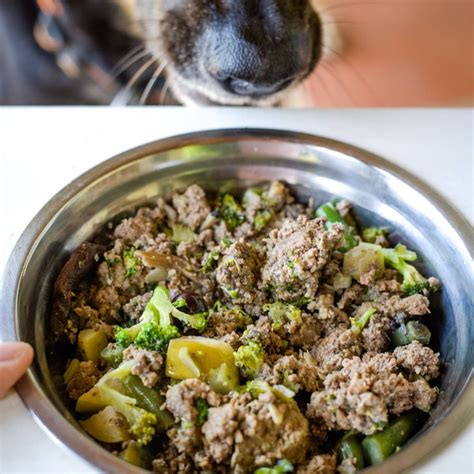 Grain Free Turkey Dog Food Recipe - Pawsome Recipes