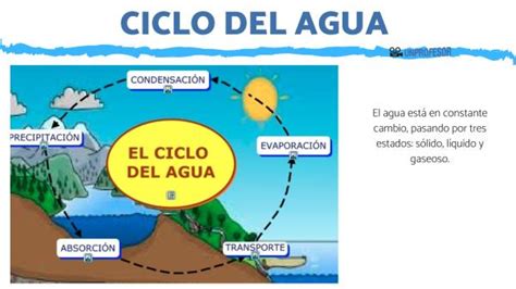 Qué es el ciclo del agua - RESUMEN para niños [con imágenes!]