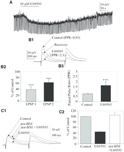 The kappa opioid receptor agonist U69593 has both post-and presynaptic... | Download Scientific ...