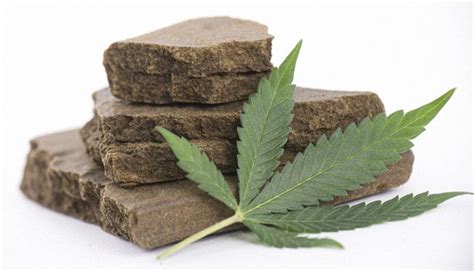 Brick Weed: What It Is and Why It’s No Longer Popular - Weed News