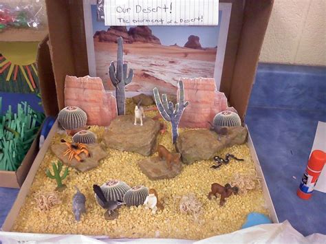 Desert Diorama Examples | Ecosystems projects, Biomes project, Habitats ...