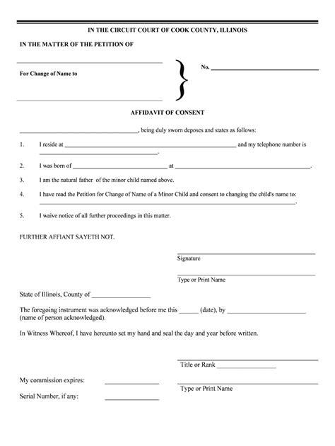 Petition for Change of Name Clerk of the Circuit Court Form - Fill Out and Sign Printable PDF ...