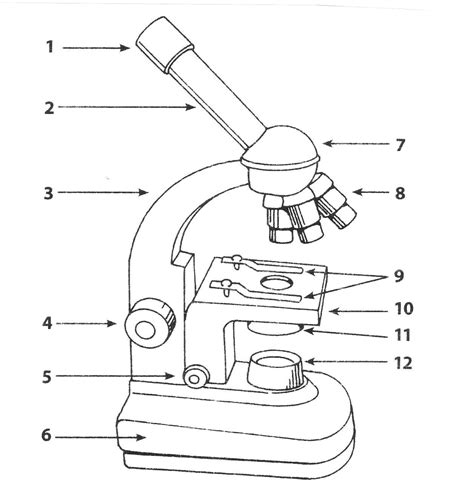 Microscope Drawing Easy at PaintingValley.com | Explore collection of ...