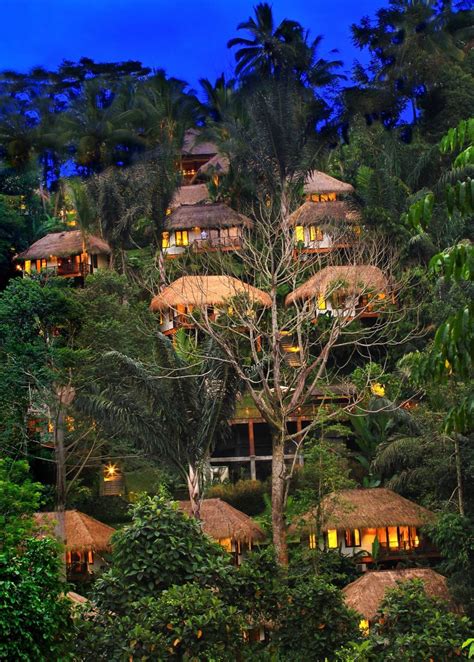 on Twitter | Jungle resort, Places to travel, Bali