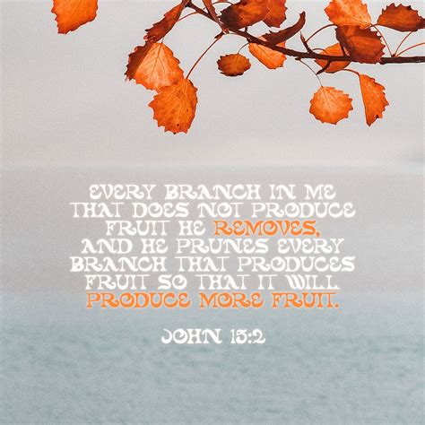 John 15:2-19 Every branch in me that beareth not fruit he taketh away: and every branch that ...