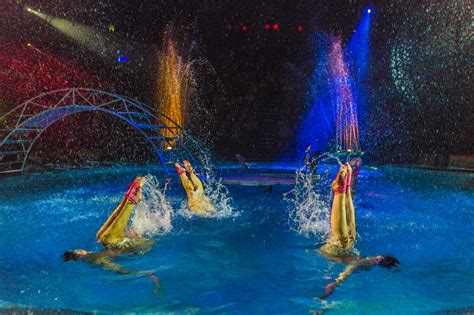 Hippodrome Circus – Great Yarmouth | Great yarmouth, Yarmouth, Places to go