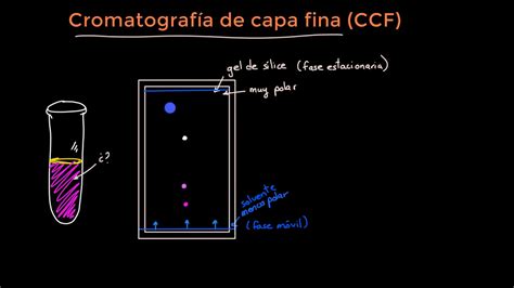 Necesitar vegetariano Con fecha de calcular rf en cromatografia Confiar absorción constantemente