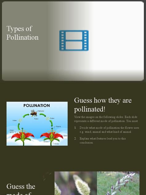 Types of Pollination | PDF